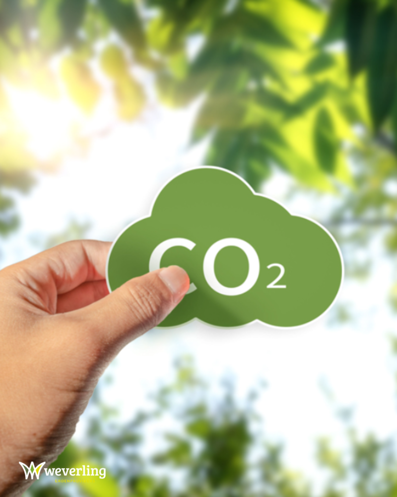 Ontwerp zonder titel (2)